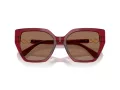 Swarovski Lunettes de Soleil SK 6016 105573