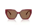 Swarovski Lunettes de Soleil SK 6016 105573