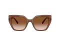 Swarovski Lunettes de Soleil SK 6016 106713