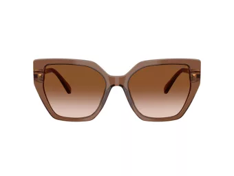 Swarovski Lunettes de Soleil SK 6016 106713