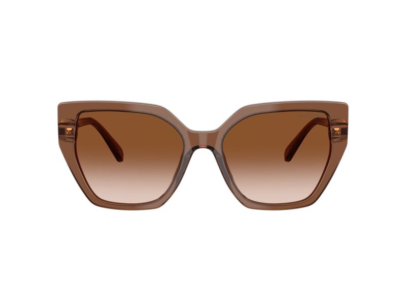 Swarovski Lunettes de Soleil SK 6016 106713