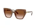 Swarovski Lunettes de Soleil SK 6016 106713