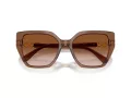 Swarovski Lunettes de Soleil SK 6016 106713