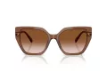 Swarovski Lunettes de Soleil SK 6016 106713