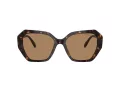 Swarovski Lunettes de Soleil SK 6017 1002M4