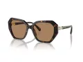 Swarovski Lunettes de Soleil SK 6017 1002M4