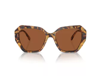Swarovski Lunettes de Soleil SK 6017 100473