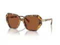 Swarovski Lunettes de Soleil SK 6017 100473