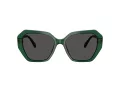 Swarovski Lunettes de Soleil SK 6017 104587