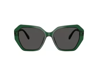 Swarovski Lunettes de Soleil SK 6017 104587