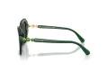 Swarovski Lunettes de Soleil SK 6017 104587