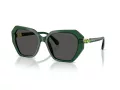 Swarovski Lunettes de Soleil SK 6017 104587