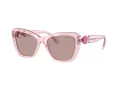 Swarovski Lunettes de Soleil SK 6018 30017N