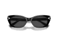 Swarovski Lunettes de Soleil SK 6019 100187