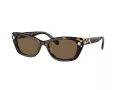 Swarovski Lunettes de Soleil SK 6019 100273