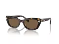 Swarovski Lunettes de Soleil SK 6019 100273