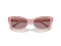 Swarovski Lunettes de Soleil SK 6019 10317N