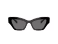 Swarovski Lunettes de Soleil SK 6021 100181