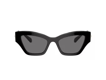 Swarovski Lunettes de Soleil SK 6021 100181
