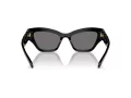 Swarovski Lunettes de Soleil SK 6021 100181