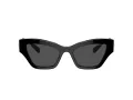 Swarovski Lunettes de Soleil SK 6021 100187