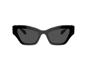 Swarovski Lunettes de Soleil SK 6021 100187