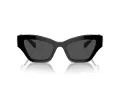 Swarovski Lunettes de Soleil SK 6021 100187