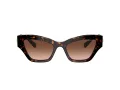 Swarovski Lunettes de Soleil SK 6021 10023B