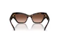 Swarovski Lunettes de Soleil SK 6021 10023B