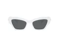Swarovski Lunettes de Soleil SK 6021 105087