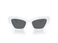 Swarovski Lunettes de Soleil SK 6021 105087