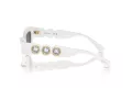 Swarovski Lunettes de Soleil SK 6021 105087