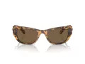 Swarovski Lunettes de Soleil SK 6022 104073