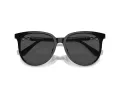 Swarovski Lunettes de Soleil SK 6023D 100187