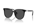 Swarovski Lunettes de Soleil SK 6023D 100187