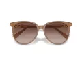 Swarovski Lunettes de Soleil SK 6023D 200213
