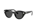 Swarovski Lunettes de Soleil SK 6025 100187