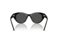 Swarovski Lunettes de Soleil SK 6025 100187