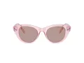 Swarovski Lunettes de Soleil SK 6025 30017N