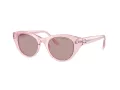 Swarovski Lunettes de Soleil SK 6025 30017N