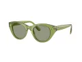 Swarovski Lunettes de Soleil SK 6025 3002/2