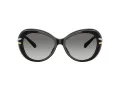 Swarovski Lunettes de Soleil SK 6026 100111