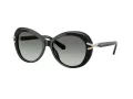 Swarovski Lunettes de Soleil SK 6026 100111