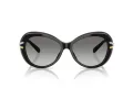 Swarovski Lunettes de Soleil SK 6026 100111