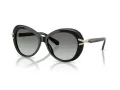 Swarovski Lunettes de Soleil SK 6026 100111