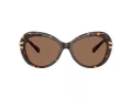 Swarovski Lunettes de Soleil SK 6026 100273
