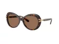 Swarovski Lunettes de Soleil SK 6026 100273