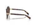 Swarovski Lunettes de Soleil SK 6026 100273