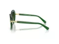 Swarovski Lunettes de Soleil SK 6026 10642A