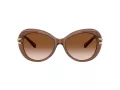 Swarovski Lunettes de Soleil SK 6026 106713